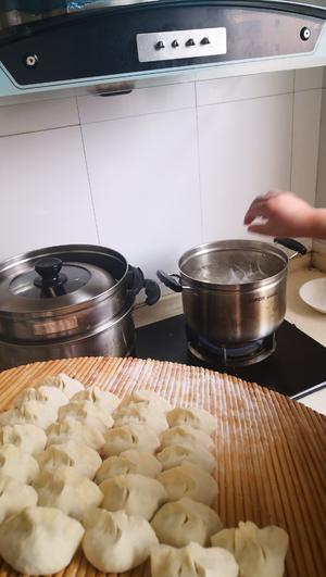 ［家的味道］好吃不如饺子——韭菜猪肉水饺的做法 步骤12