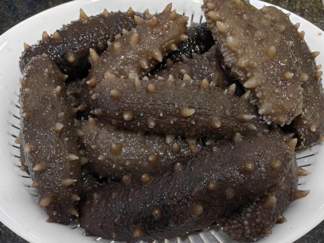 0基础泡发小刺参