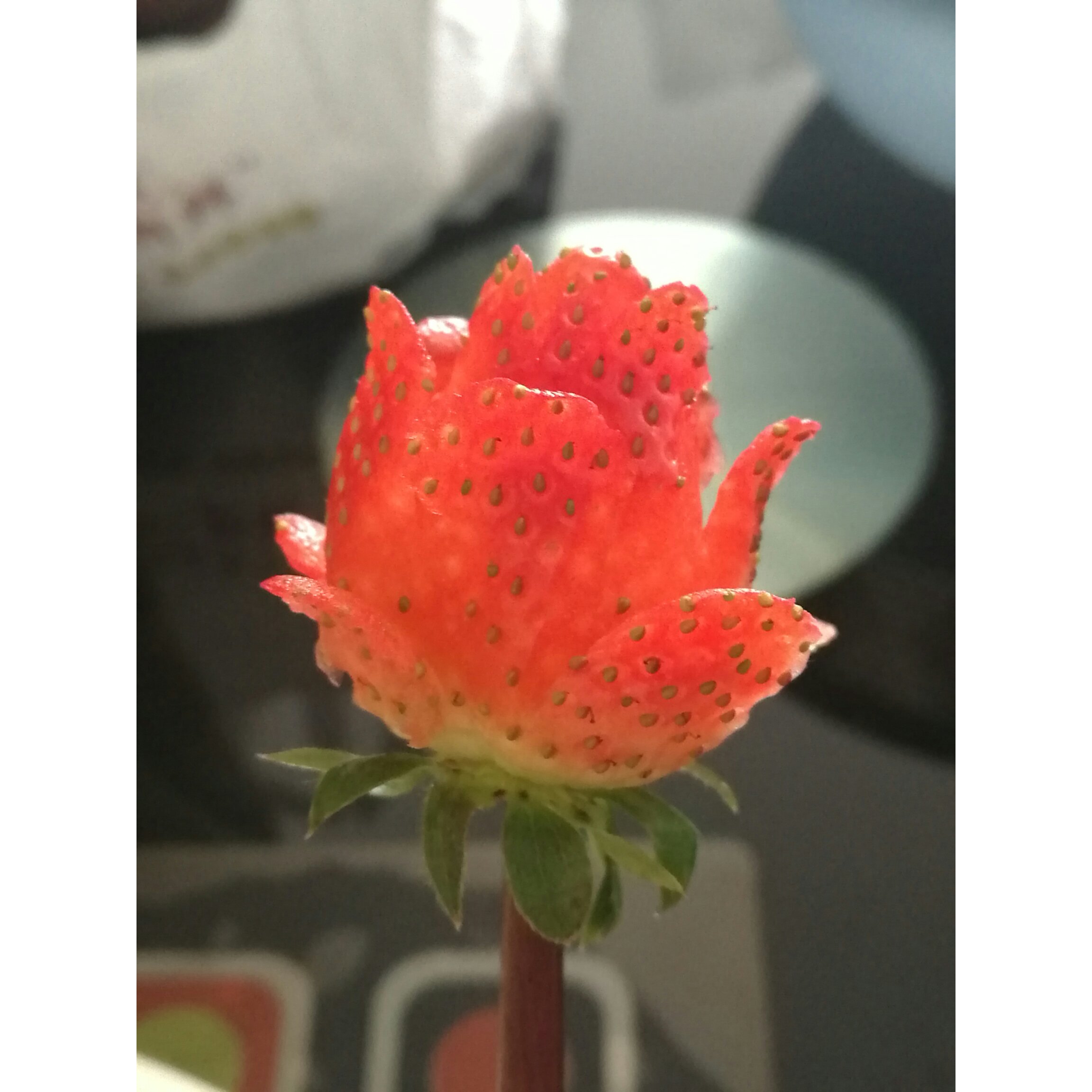 玫瑰花草莓