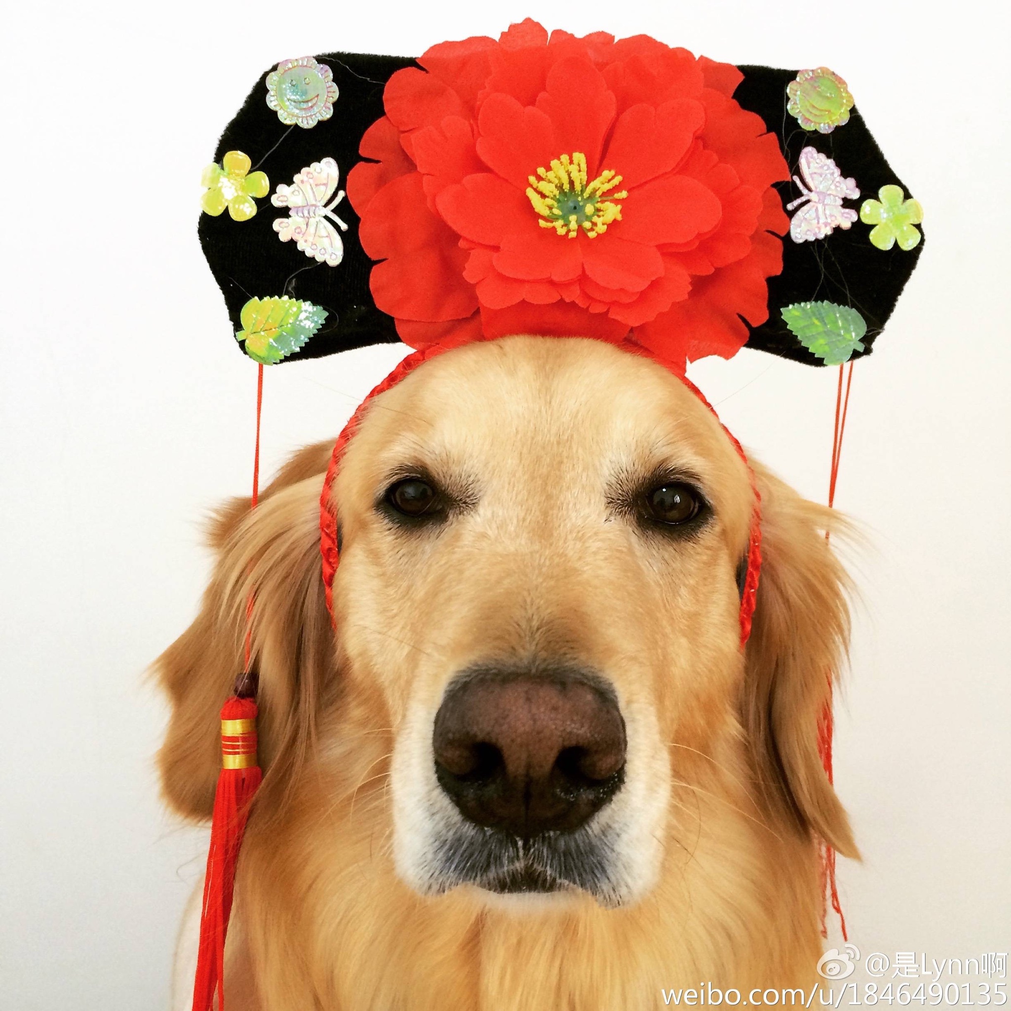 阿二不二