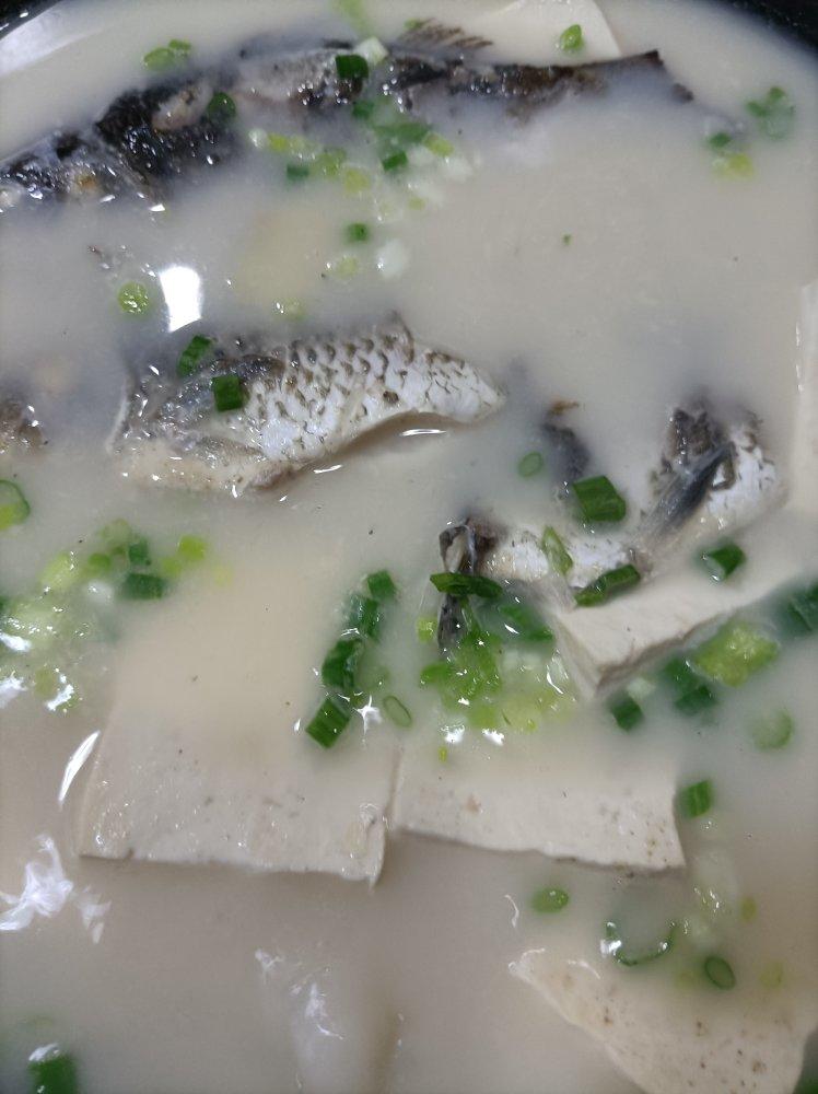月子下奶汤——奶白鲫鱼豆腐汤