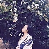 静莲