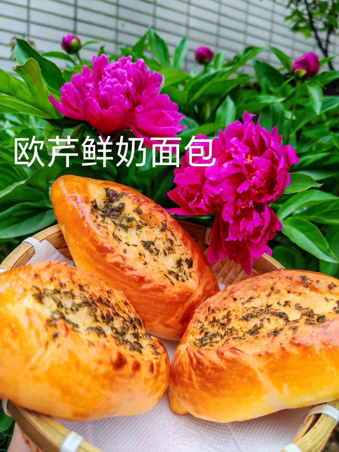 欧芹鲜奶面包