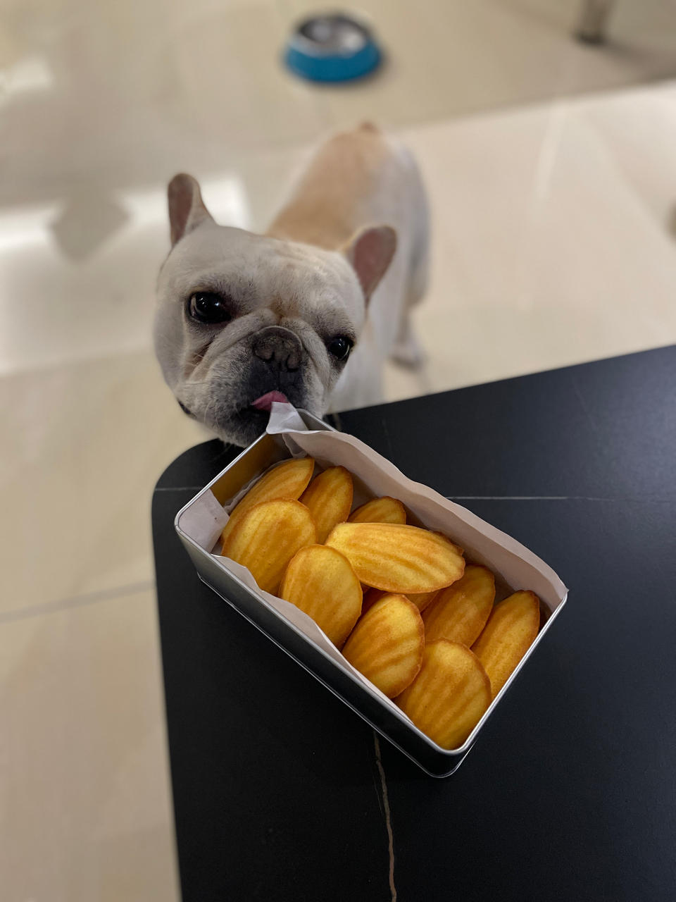 焦糖海盐玛德琳