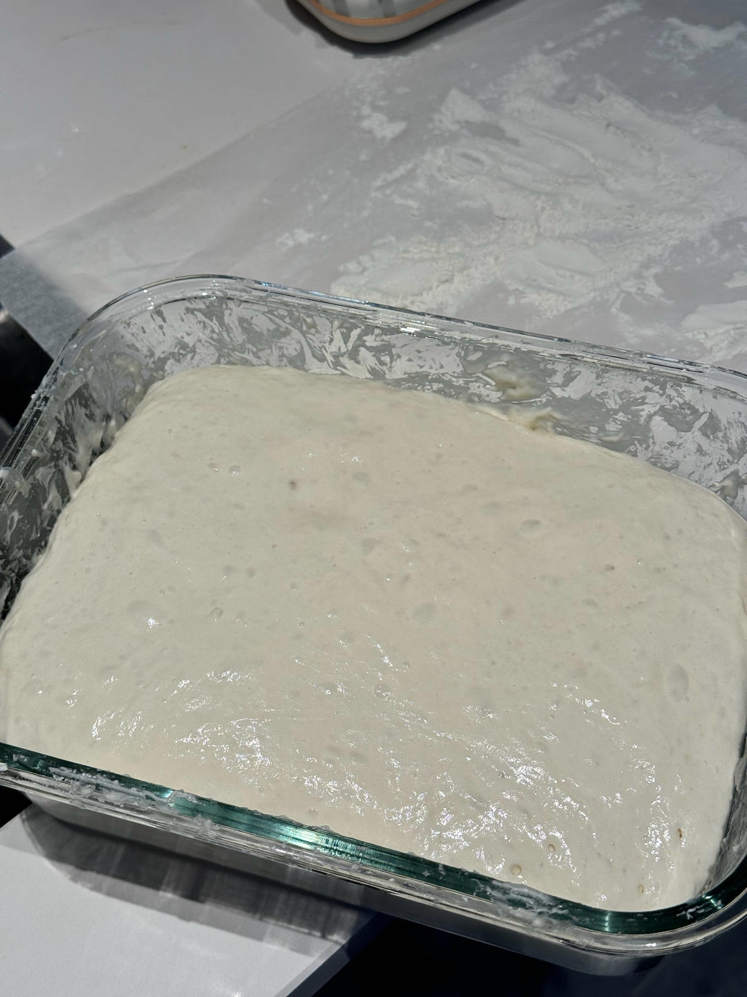 3.5小时快速直接法欧包丨免揉免机打免酵种