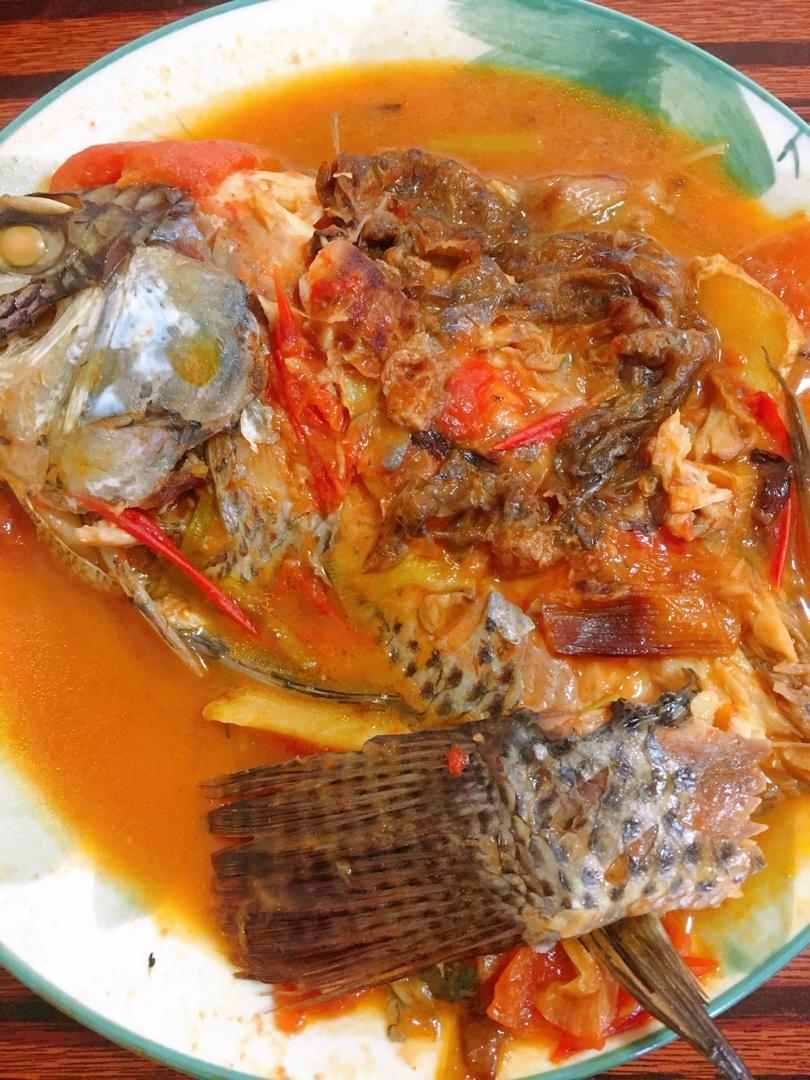 闹闹kud5做的番茄罗非鱼