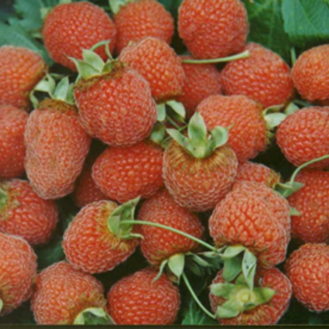 啦啦的妈手机用户5063_tg83