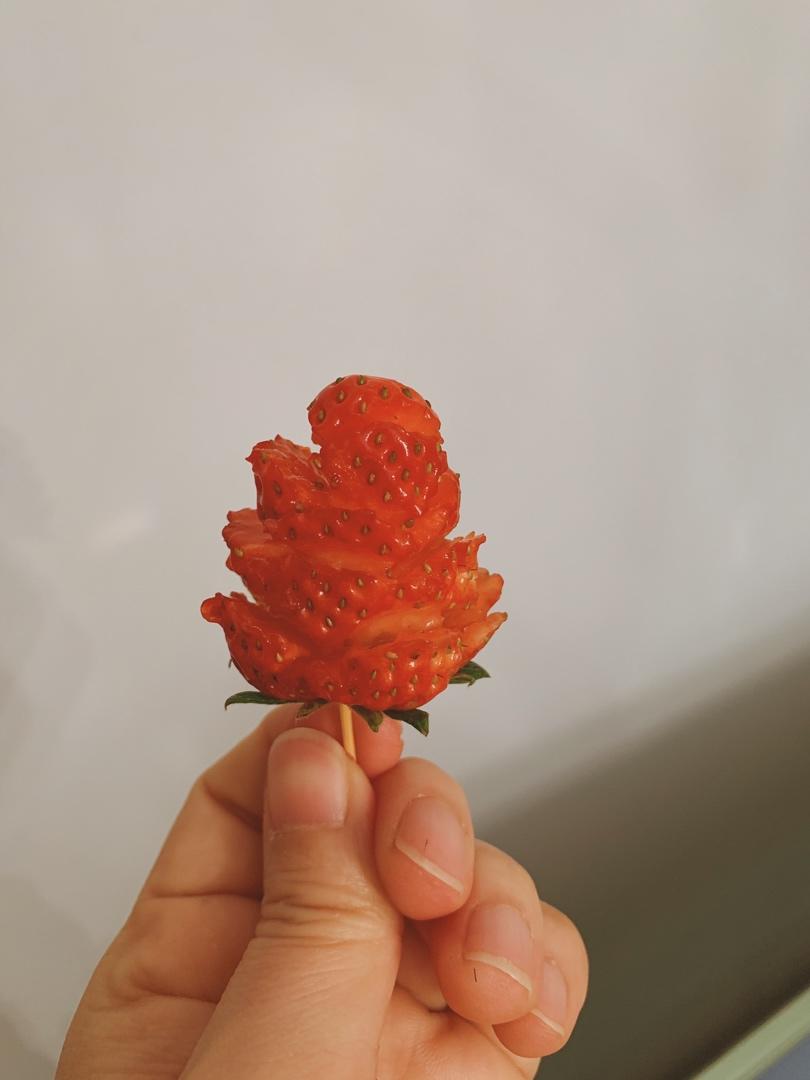 草莓玫瑰花