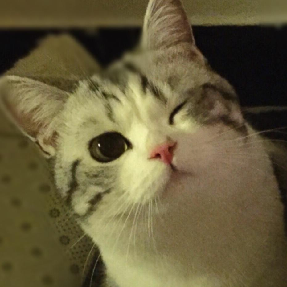 本宝宝不能吃太胖