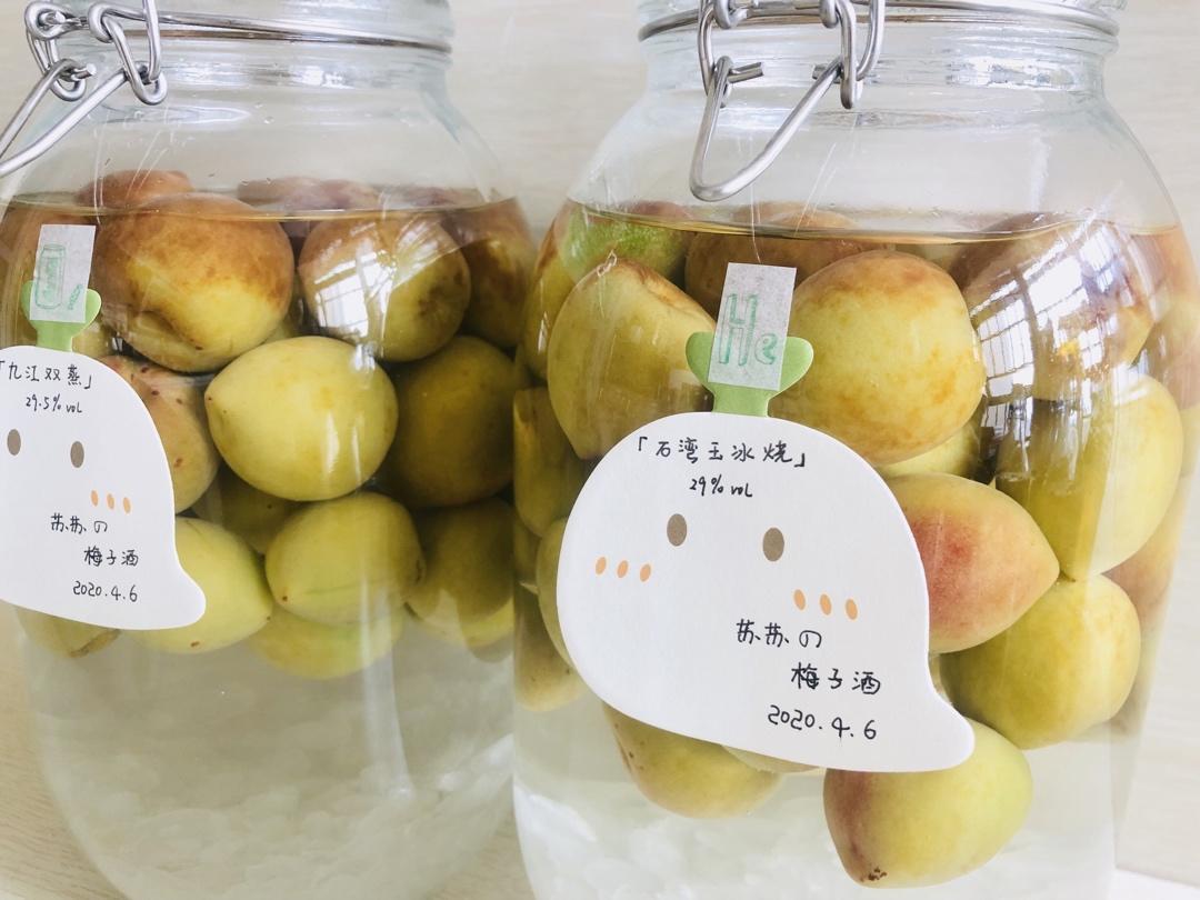 梅子酒