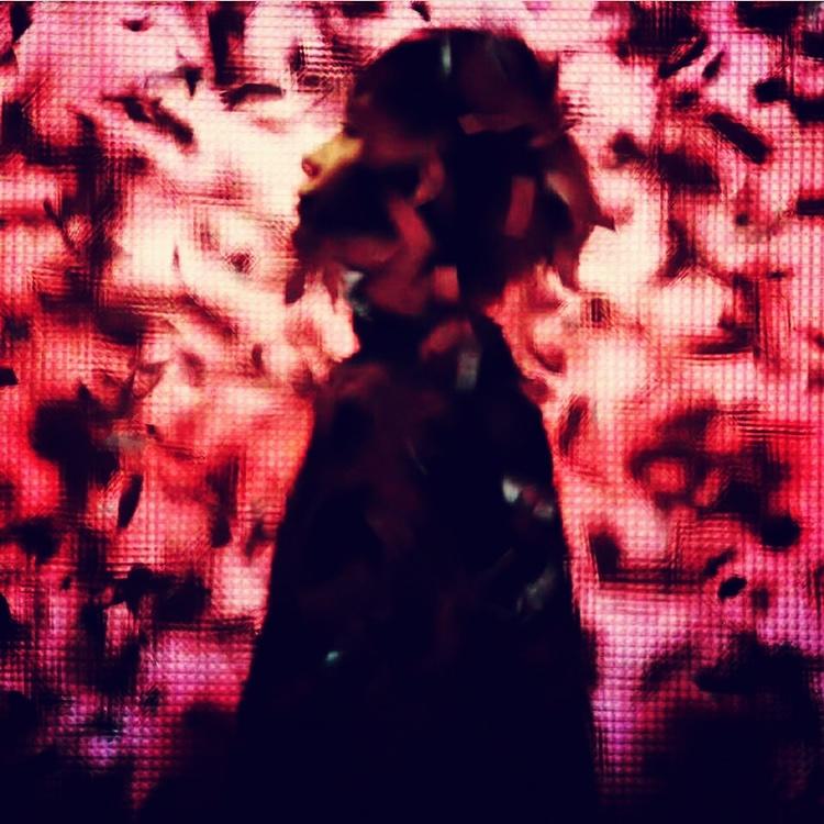 我是一只废柴