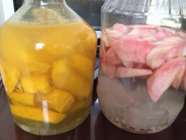 贫民窟自制芒果酒