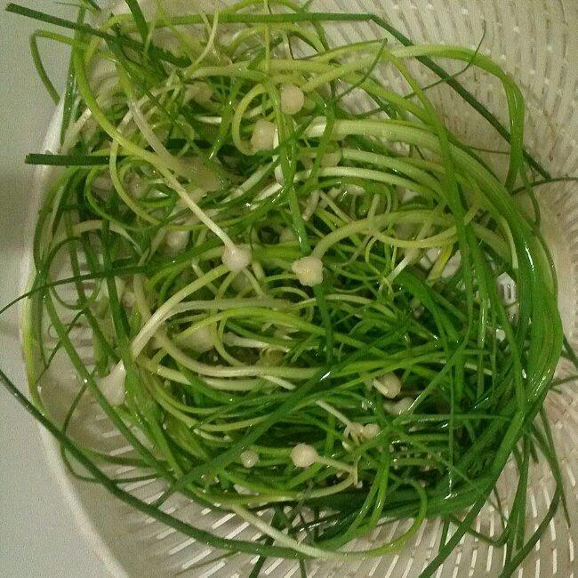 【野葱煎饼麻葱的做法步骤图,怎么做好吃】￥冰水￥_下厨房