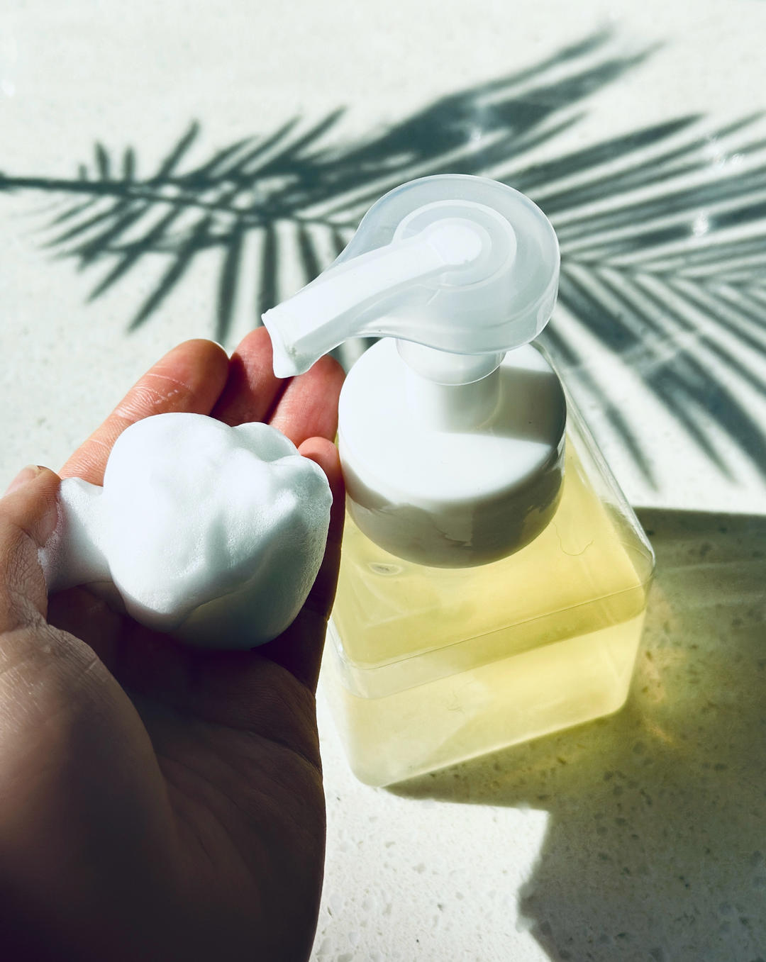 天然洗涤剂——无患子