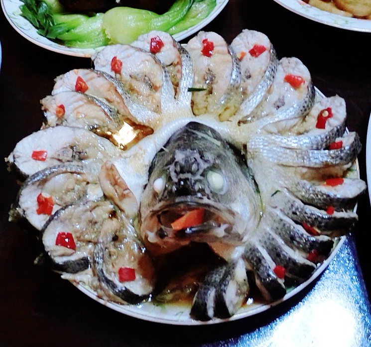 孔雀开屏鱼