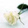 ✞ Ｊｕｎ .