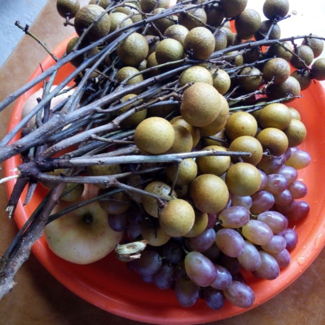 晚餐•2014年8月26日