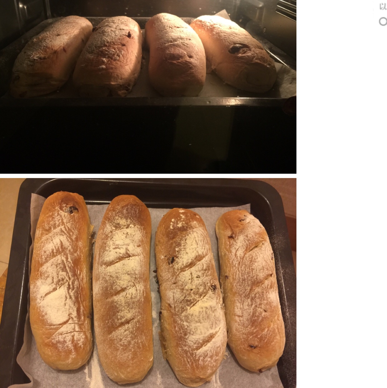 全麦红糖桂圆软欧包