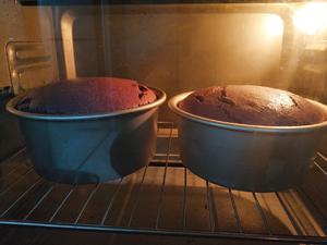 紫薯戚风蛋糕的做法 步骤16