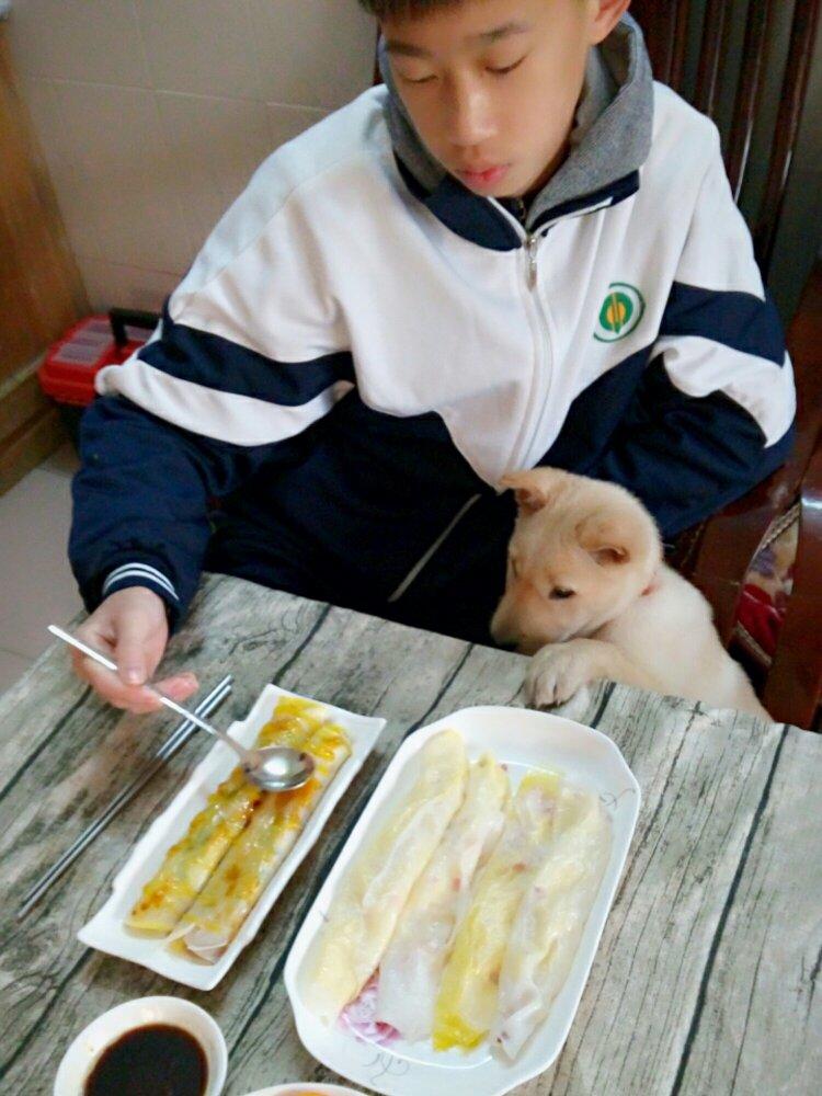 平底锅版广式肠粉
