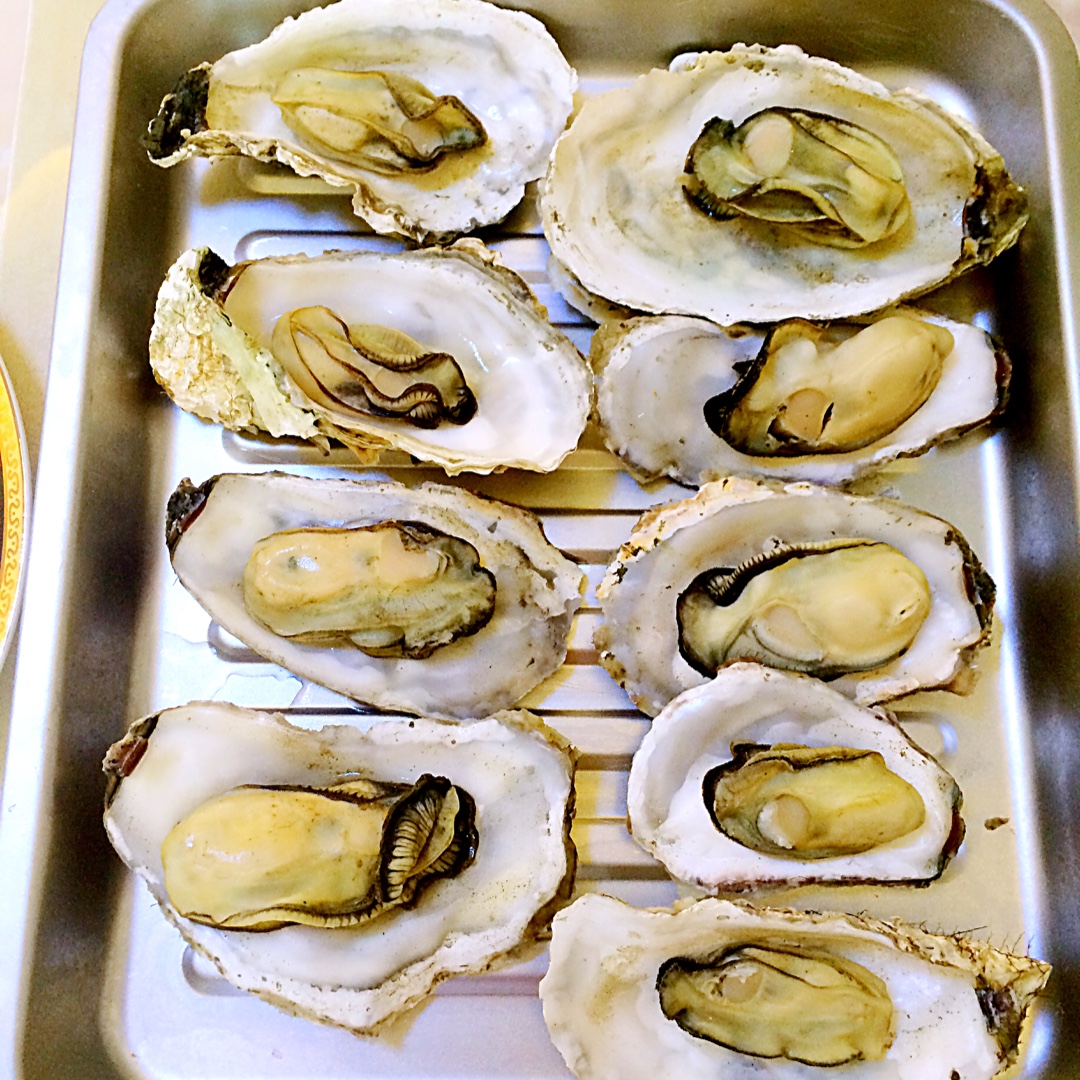 乐乐1128做的生蚝最原味吃法——海南生蚝火锅