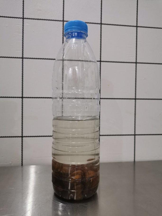 天然酵母种的2种做法以及续种