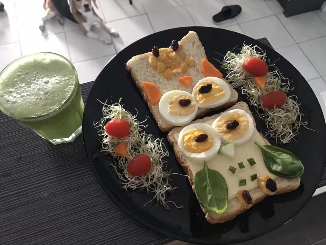 超萌猫头鹰吐司早餐