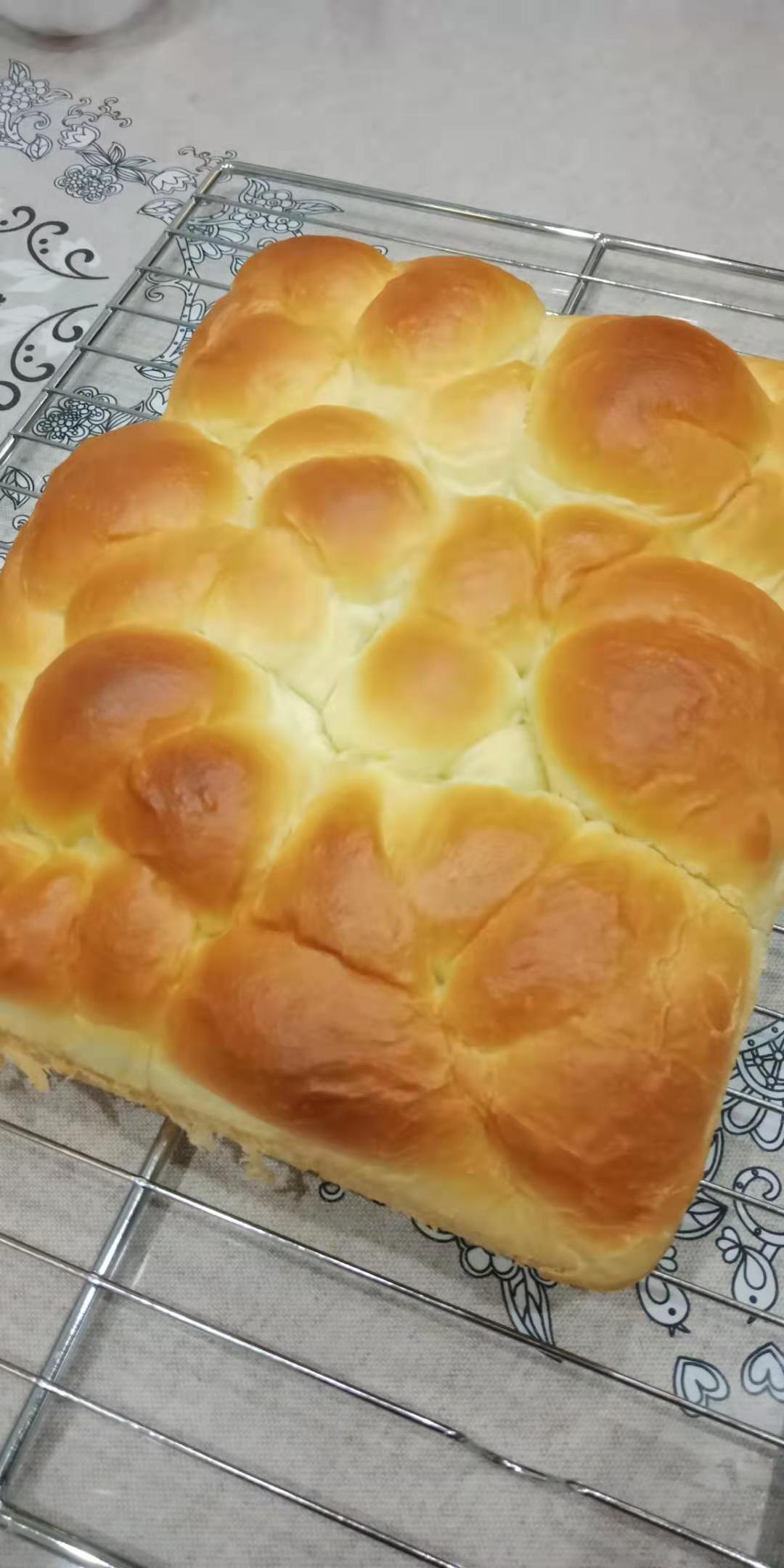 老面包（爱和自由）