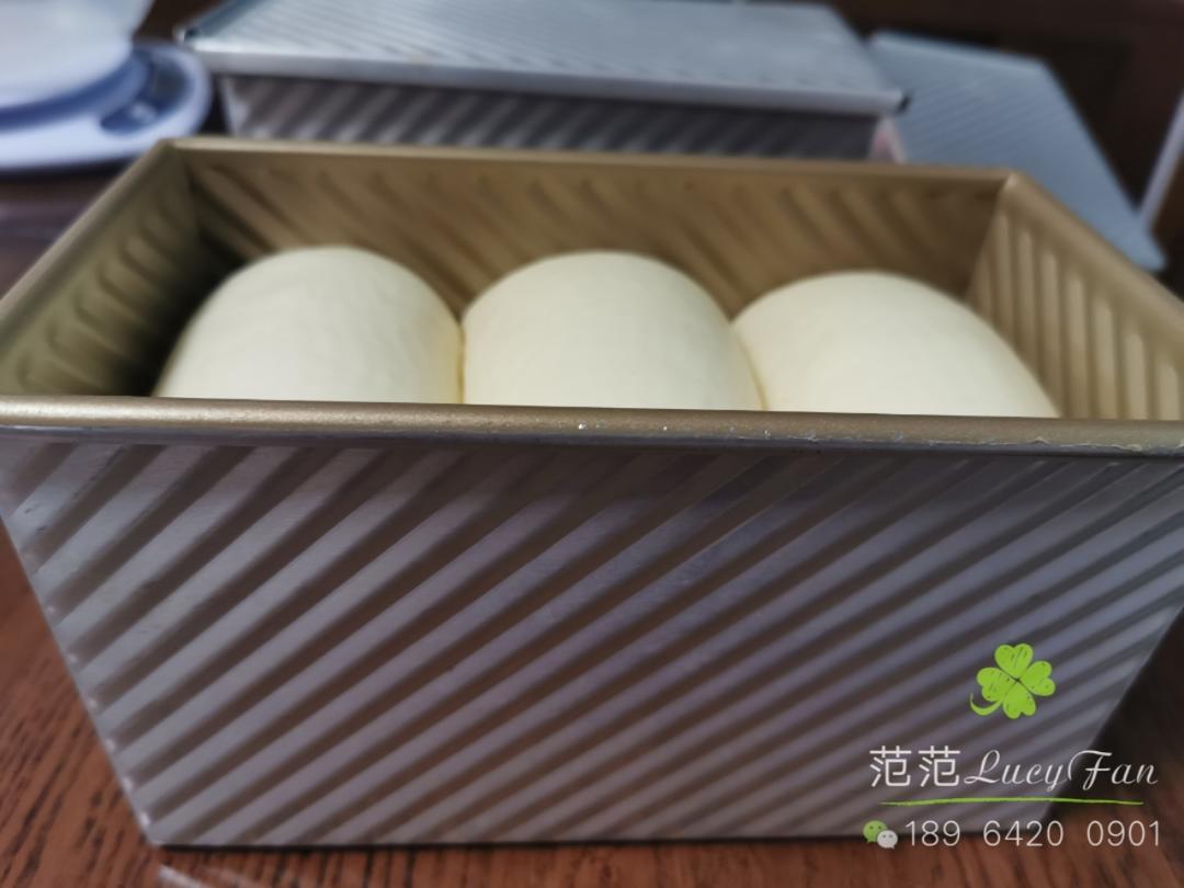 100 中种北海道吐司 小美版 消耗淡奶油 钧天