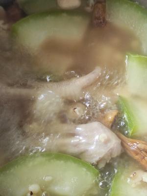 大暑必备的青头鸭冬瓜汤的做法 步骤6