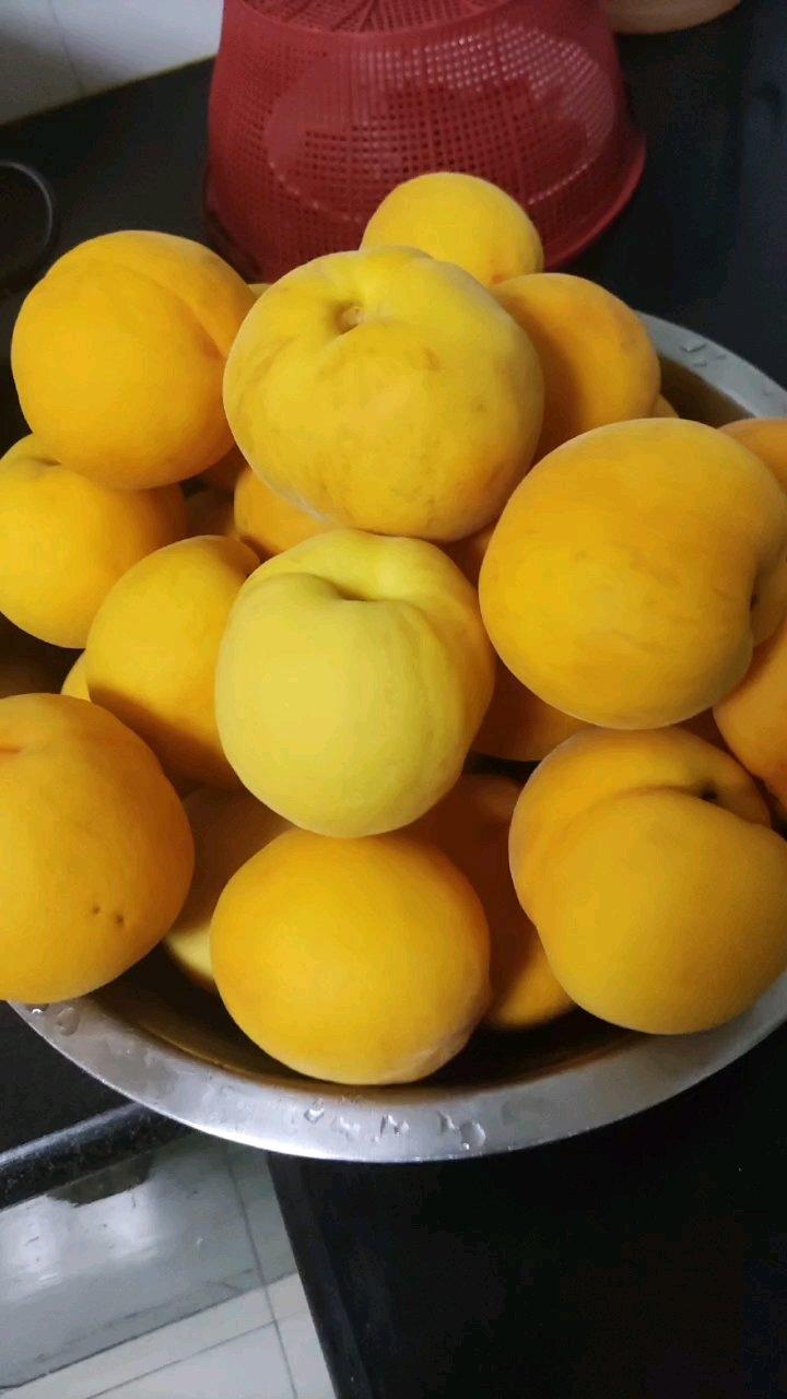 黄桃罐头