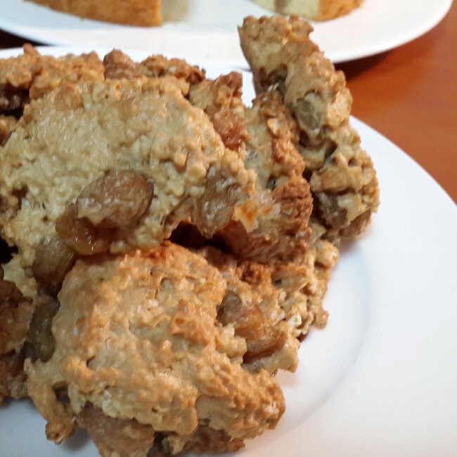 提子燕麦饼干