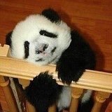 朱油油