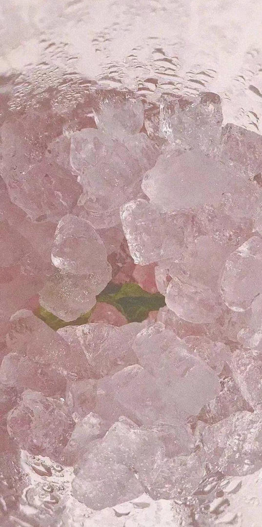 射手座的张小姐