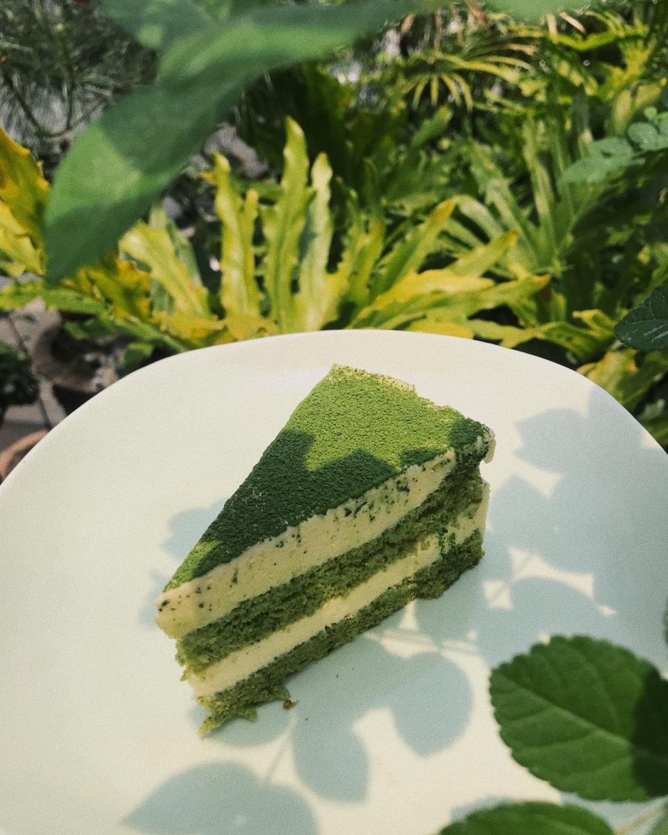 浓厚抹茶提拉米苏蛋糕