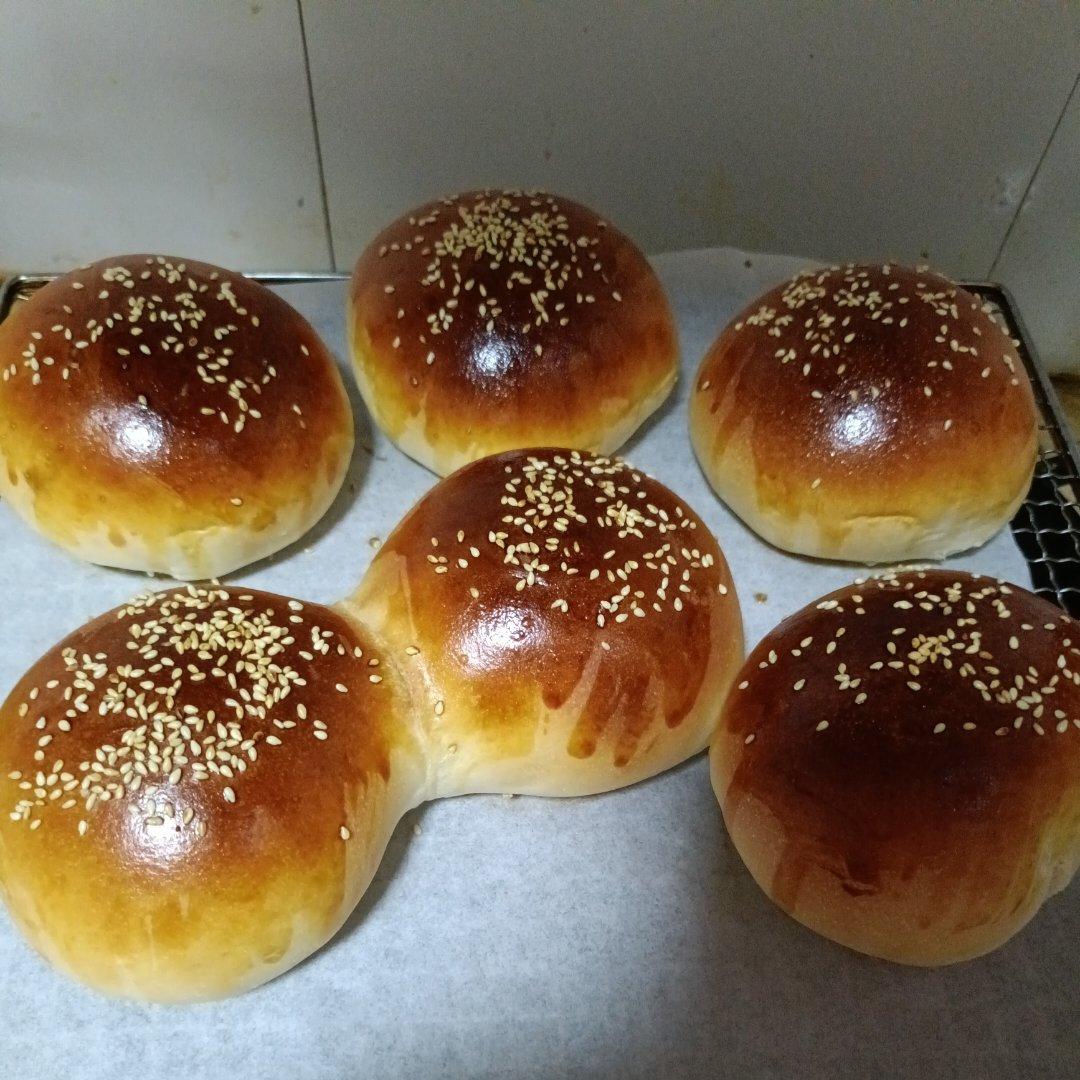 汉堡胚（中种法）