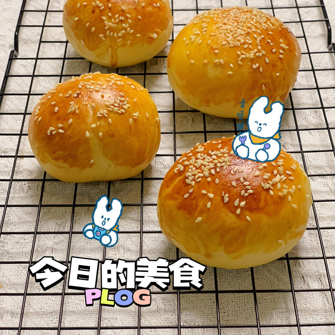 汉堡胚（中种法）