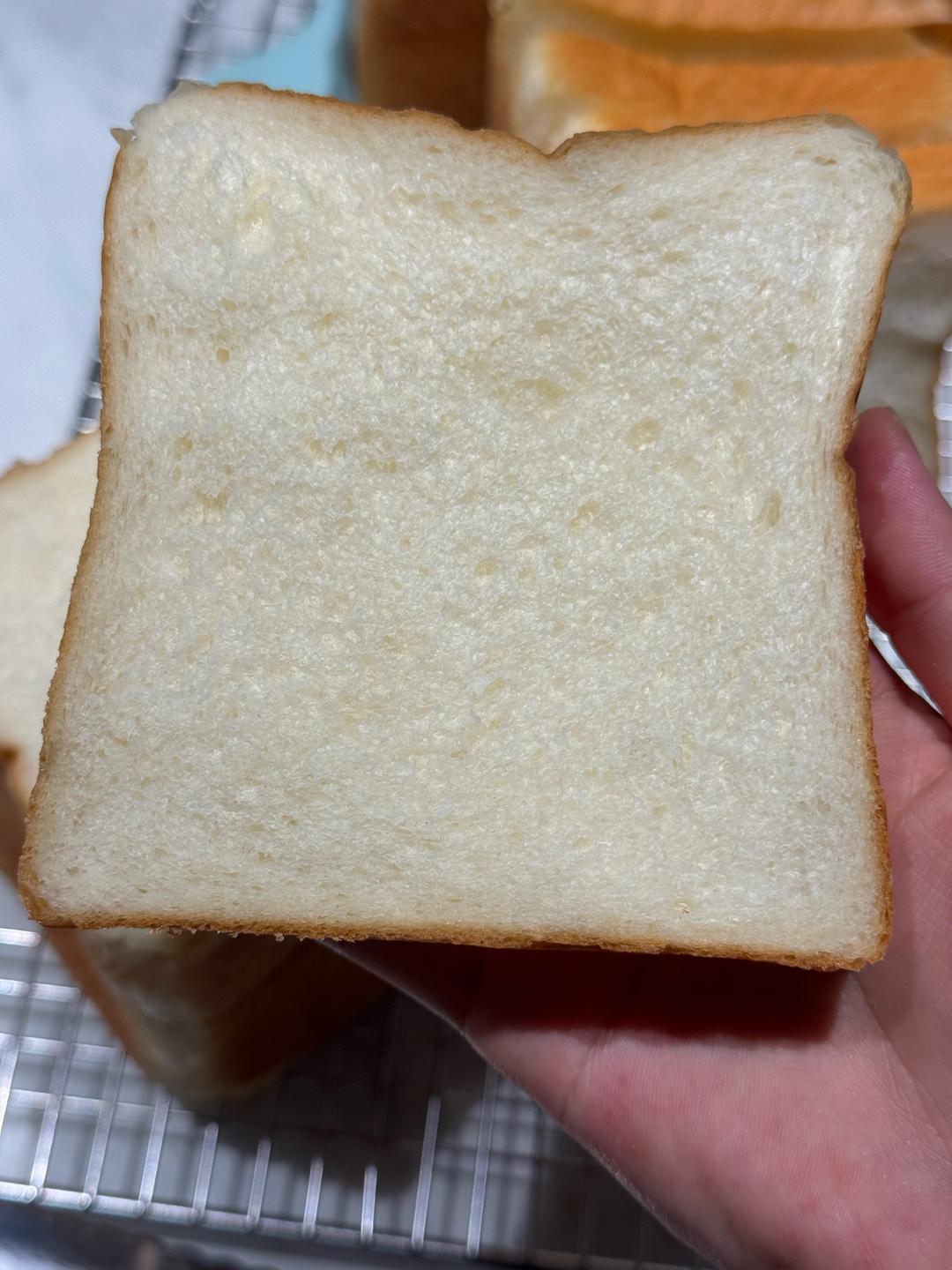 好吃的鲜奶三明治吐司以及三明治组装示范