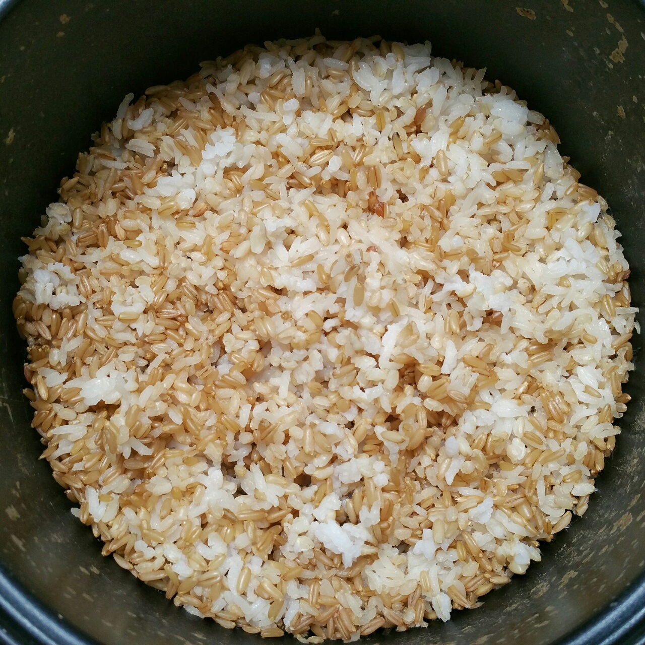 糙米饭 骨儿朵儿做的糙米饭                         做过 五常大米