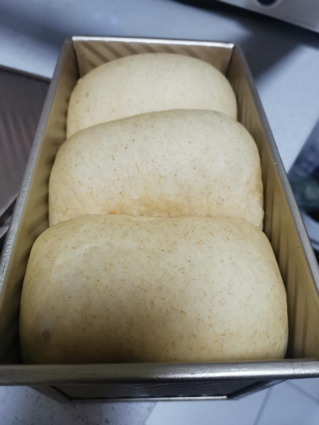 黑全麦波兰种吐司，这么柔软简直怀疑你是个假全麦！