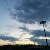 八月在吃饭-洗手做羹汤