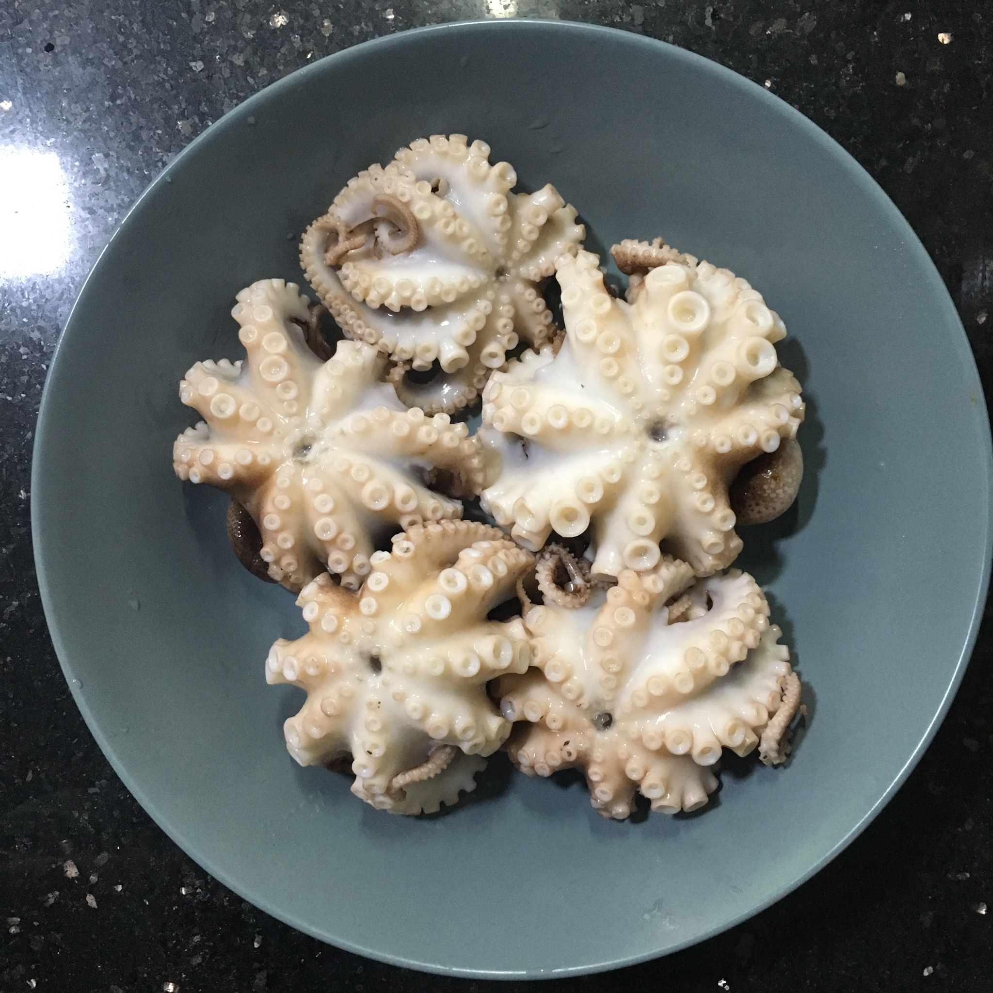 白灼章鱼