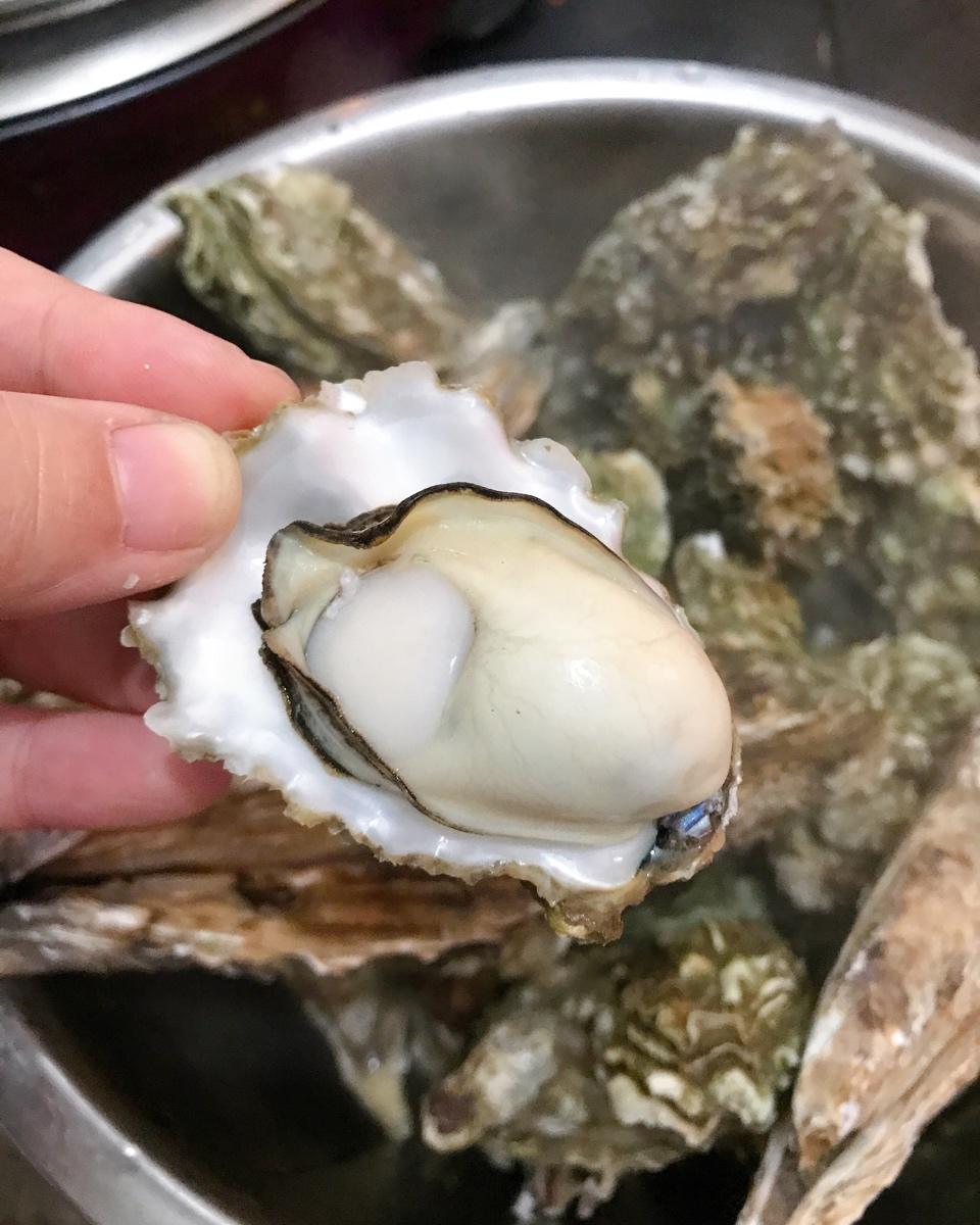 煮牡蛎（海蛎子）家常快手菜 附如何挑选及如何掌握火候！超级鲜肥！