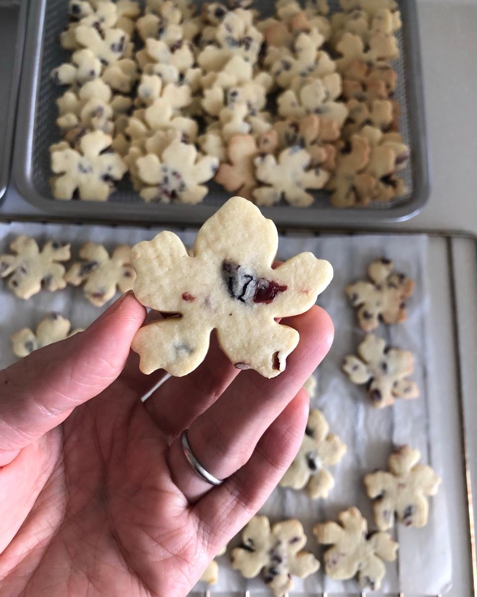 低糖少油版蔓越莓饼干