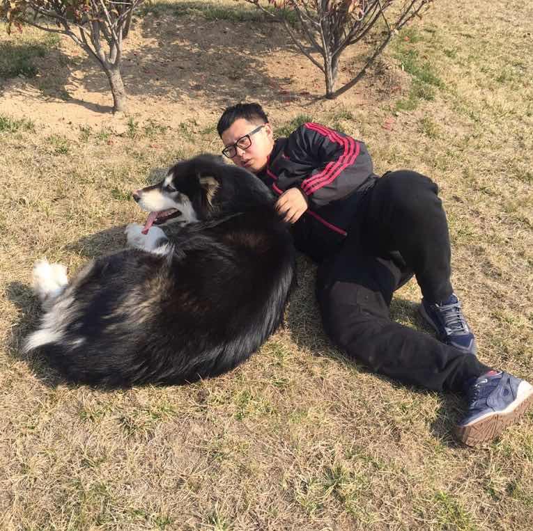 小卷毛毛毛毛毛毛毛