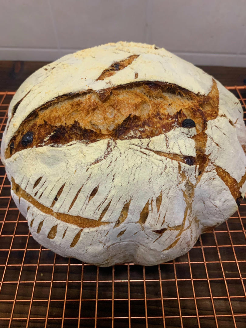 【Ken Forkish】Field blend #1轻黑麦天然酵种欧包