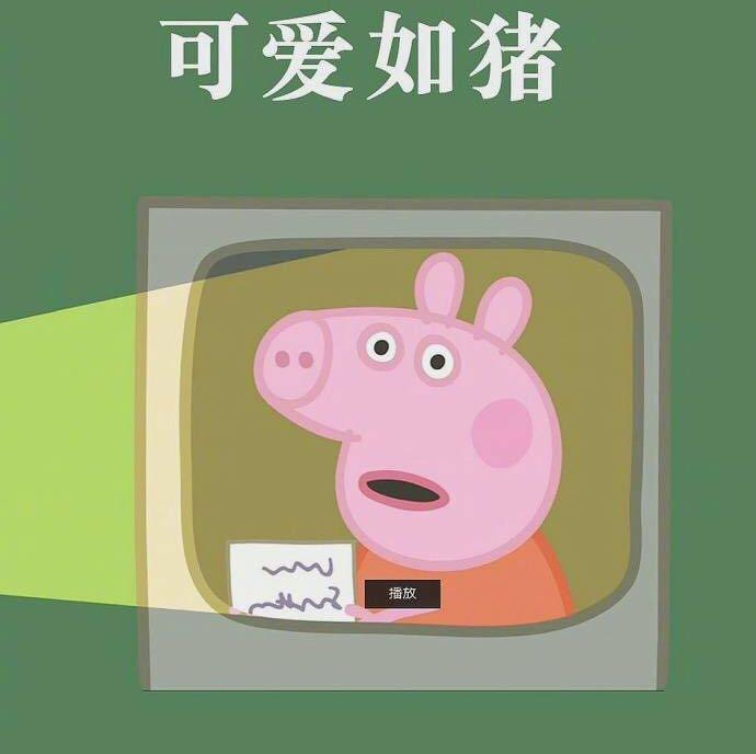 小鸡崽崽