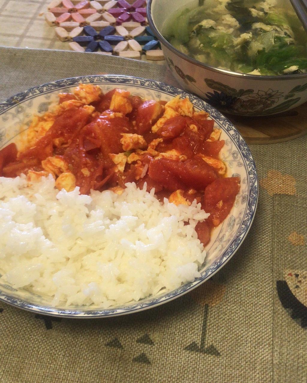 国民下饭菜～番茄炒蛋
