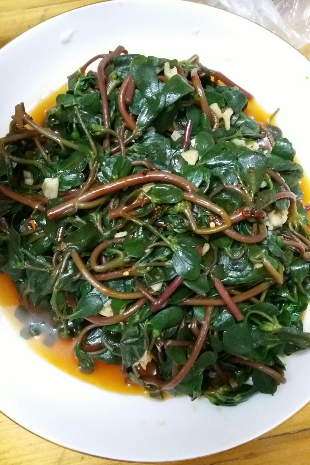 凉拌马齿苋