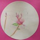 手机用户7760_5kqd